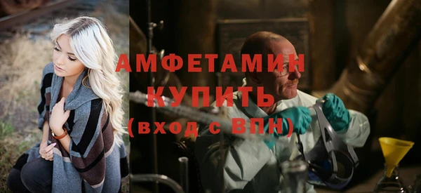 индика Богородск