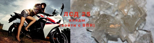 индика Богородск
