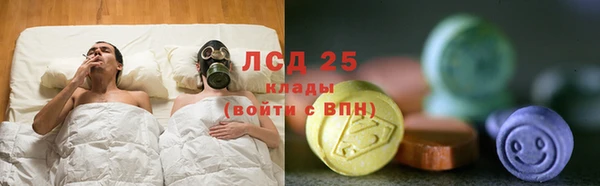 индика Богородск