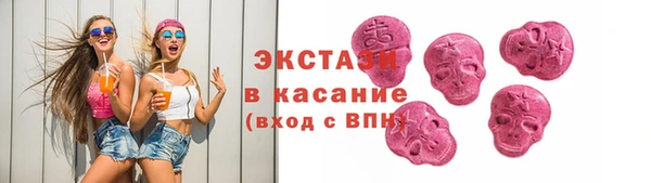 индика Богородск