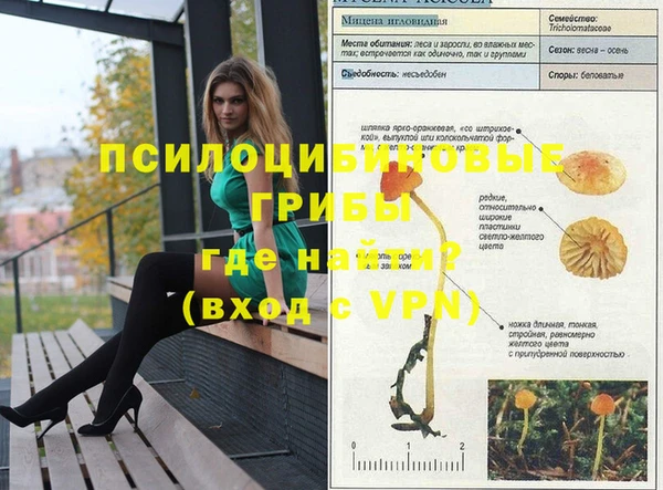 героин Богородицк