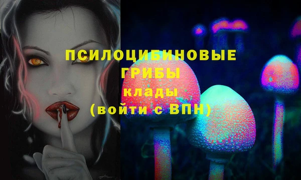 индика Богородск